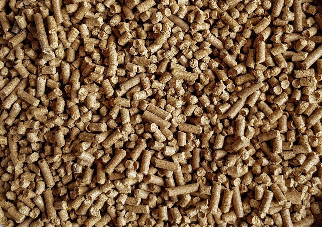Cattle feed
